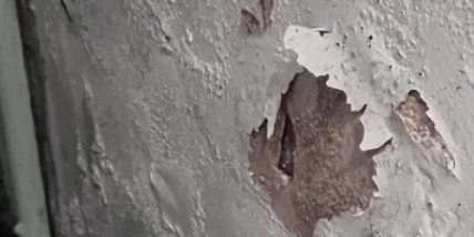 An example of rising damp on a wall.