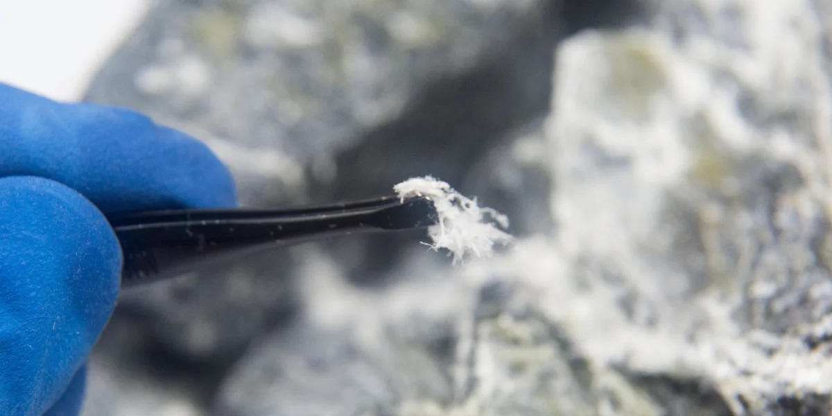 An example of asbestos fibres.