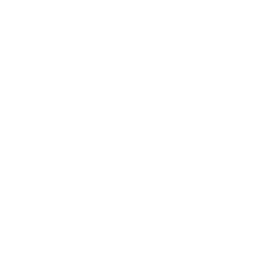 X white icon